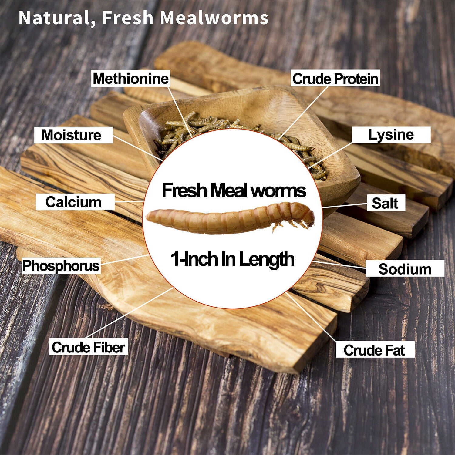 Amzey 2 Pack 8.4 oz 100% Non-GMO Fresh Mealworms, High-Protein Treats for Duck, Fish, Turtle, Chicken, Wild Bird, Crested Gecko, Reptile Food, 16.8 oz (24 Bags)