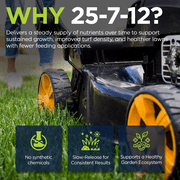 Supply Solutions 25-7-12 Lawn and Turf Fertilizer 15% Slow Release Nitrogen - Supply Nutrients for Lawn Grass and Garden Plants for Greener Look (25lbs)