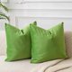 thumbnail image 1 of Chenchen Velvet Pillow Covers Set of 2 Decorative Throw Pillow Covers for Couch Sofa Bed Soft Cushion Covers Cases with Hidden Zipper for Living Room Home Decor,Apple Green,14x14 inch, 1 of 1