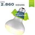 thumbnail image 3 of czcpp-Reptile Ampoule Chauffante, Spot de Baking Lumière du Jour, Dragon Barbu/tortue/zard/gecko Ampoule, Lampe Chauffante UVA, Lumière de Baking pour Reptiles (Lot de 2 Spot de Baking Lumière du Jour, 75W), 3 of 4
