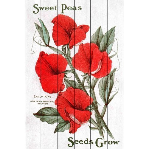 Marmont Hill "Seed Art 3-2" Painting Print on White Wood