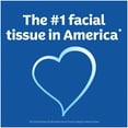 thumbnail image 4 of Kleenex Trusted Care Everyday Facial Tissues, 6 Flat Boxes, 144 White Tissues per Box, 2-Ply (864 Total), 4 of 8
