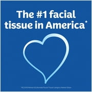 Kleenex Trusted Care Everyday Facial Tissues, 6 Flat Boxes, 144 White Tissues per Box, 2-Ply (864 Total)