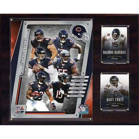 C&I Collectables 1215BEARS14 NFL 12"x15" Chicago Bears 2014 Team Plaque