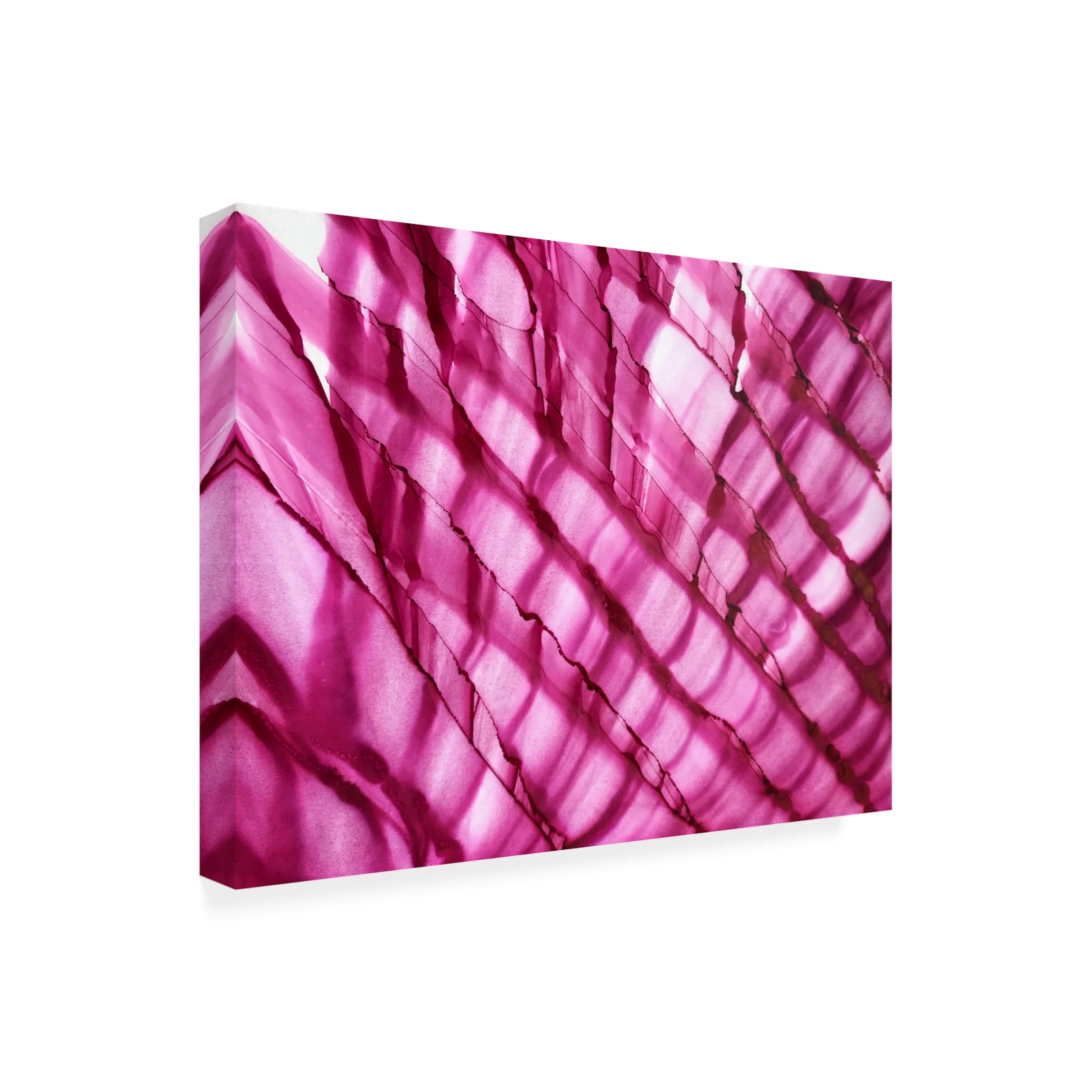 Trademark Fine Art Tara Mann Raspberry Ripple horizontal Canvas Wall Art