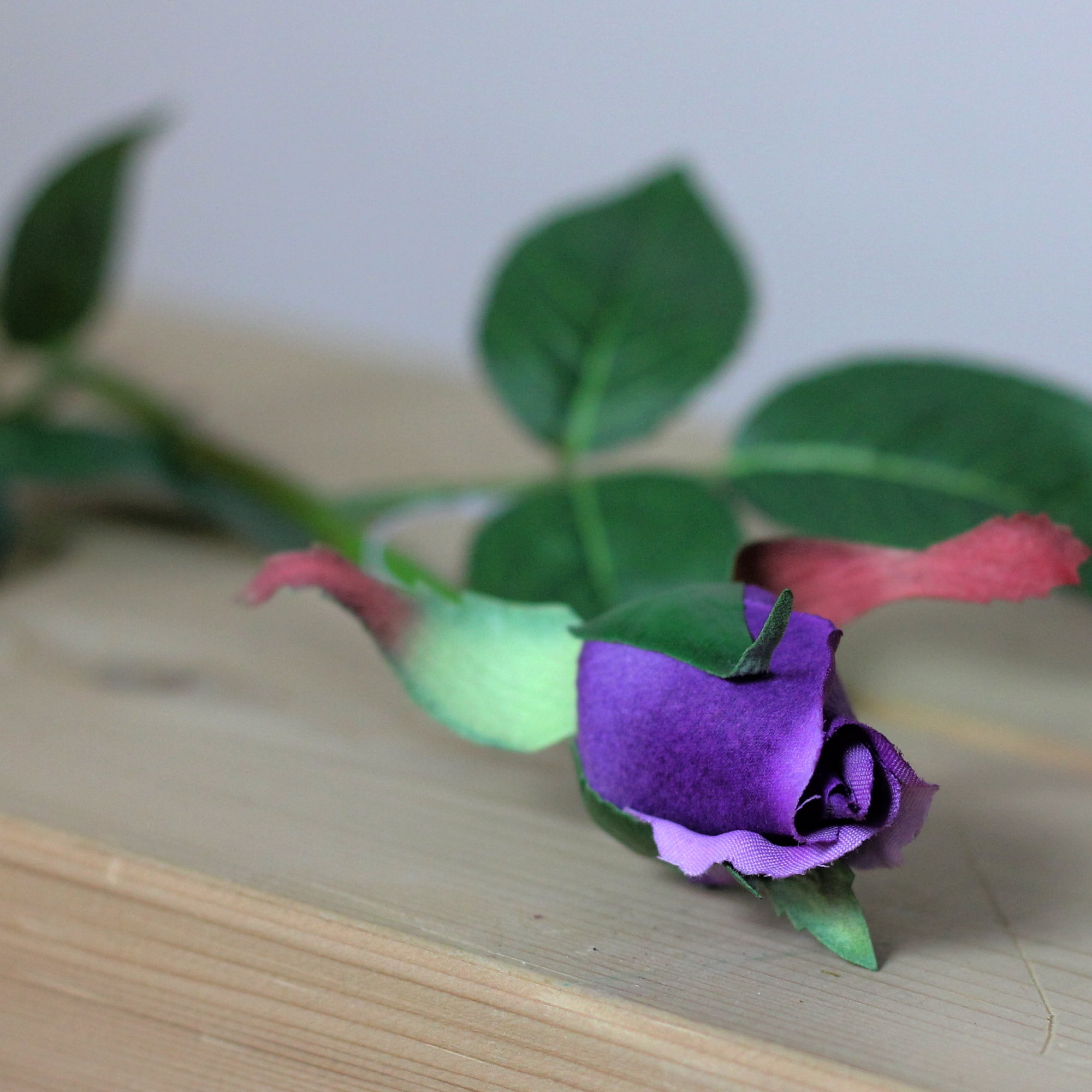 23" Deep Purple Long Stem Rose Bud Pick