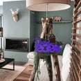 thumbnail image 3 of pdqouc 2024 Graduation Season Party Decoration Door Hanging Decorations Grad Party Atmosphere Supplies Background Arrangement Wall Hanging Decor Taking Photo, 3 of 8