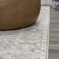 thumbnail image 5 of JONATHAN Y WASHABLE 3 x 5 Area Rug, Shaii Global Medallion - Light Gray/Brown, WSH319B-3, 5 of 9