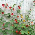 thumbnail image 3 of Plant Climbing Net, Polyester Flexible Garden Cage Netting, indoor open greenhouse vines plant support growing network net, green, 1.8m x 2,7m, 3 of 5