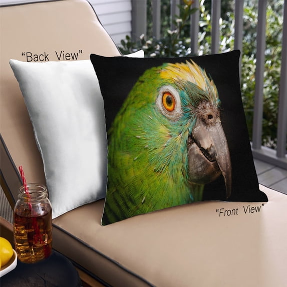 Ahgly Company Animals Parrot Outdoor Throw Pillow, 18 inch by 18 inch