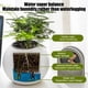 thumbnail image 5 of Maceta de flores autorregante para plantas de interior, maceta esférica moderna de plástico con diseño geométrico, decoración de escritorio o para el hogar, cuidado sencillo, 5 of 5