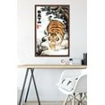 thumbnail image 6 of Alexander The Fat Tiger - Prowling Wall Poster, 22.375" x 34" Framed, 6 of 6