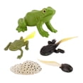 thumbnail image 3 of Kids Toddlers Animals Growth Cycle Toy Set Learning Gifts Frog, 3 of 8