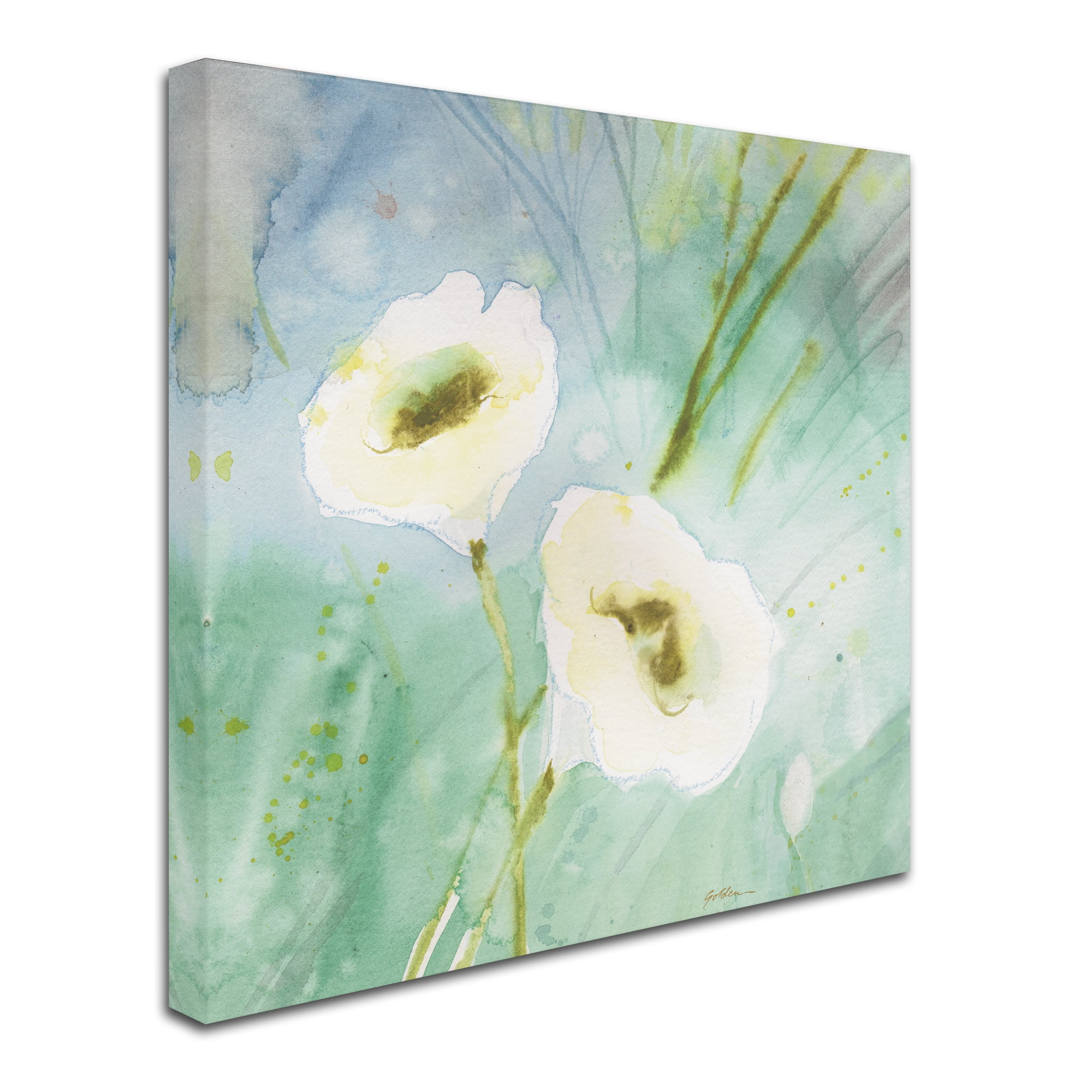 Trademark Fine Art 'Quiet Pond' Canvas Art by Sheila Golden