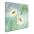 thumbnail image 2 of Trademark Fine Art 'Quiet Pond' Canvas Art by Sheila Golden, 2 of 3