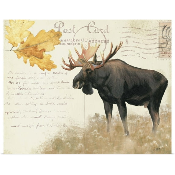Great BIG Canvas | Rolled James Wiens Poster Print entitled Northern WIld III