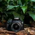 thumbnail image 5 of Canon EOS 4000D (International Model) DSLR Camera with EF-S 18-55mm f 3.5-5.6 III Lens & Starter Accessory Bundle – Includes SanDisk Ultra 32GB SDHC Memory Card, & More, 5 of 10