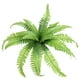 thumbnail image 1 of Simulada hierba persa hojas persas flores simuladas helechos bouquet decoración interior plantas artificiales, plantas artificiales, decoración de interiores, plantas de interior,, 1 of 6