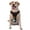 With Accessories, variant on Vsdgher Lgbt Gnome Pattern Dog Harness,No Pull Pet Harness with Soft Padded Handle,Adjustable Reflective Vest with 2 Buckles,4 Slide Buckles,S-XL Medium