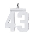 thumbnail image 4 of 925 Sterling Silver Large Polished Number 43 Charm Pendant, 4 of 5