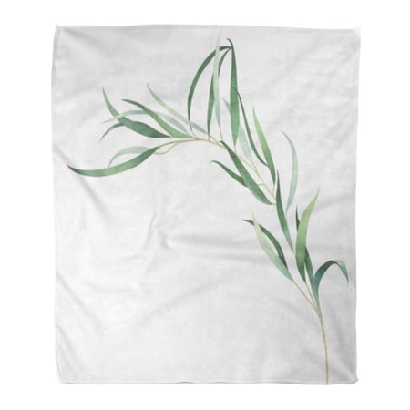SIDONKU Throw Blanket Warm Cozy Print Flannel Green Tree Elegant Eucalyptus Branch Watercolor Space Willow Comfortable Soft for Bed Sofa and Couch 58x80 Inches