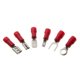 thumbnail image 2 of Kit de conectores de cable eléctrico aislados con terminales de horquilla de crimpado surtidos de 280 piezas, 2 of 6