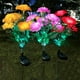 thumbnail image 1 of Lámpara de tierra LED Solar Silk 7 Carnation | Luz de estaca de jardín de patio al aire libre | Decoración de jardín de plástico resistente a la intemperie | Iluminación de caminos florales con, 1 of 7