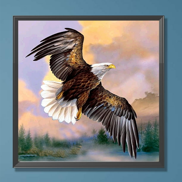 Cuadros Decorativos Kit de pintura por números, cuadro de arte al óleo de águila DIY, decoración de pared para el hogar Wdftyju embutido en tela