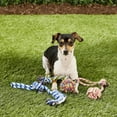 thumbnail image 2 of Juguete de Cuerda Otterly Pets Multicolor Pack de 6 para Cachorros Pequeños, 2 of 9