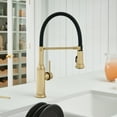 thumbnail image 2 of Blanco 442508 Empressa Semi-Pro 1.5 GPM Single Hole Pre-Rinse Pull Down Kitchen Faucet -, 2 of 4