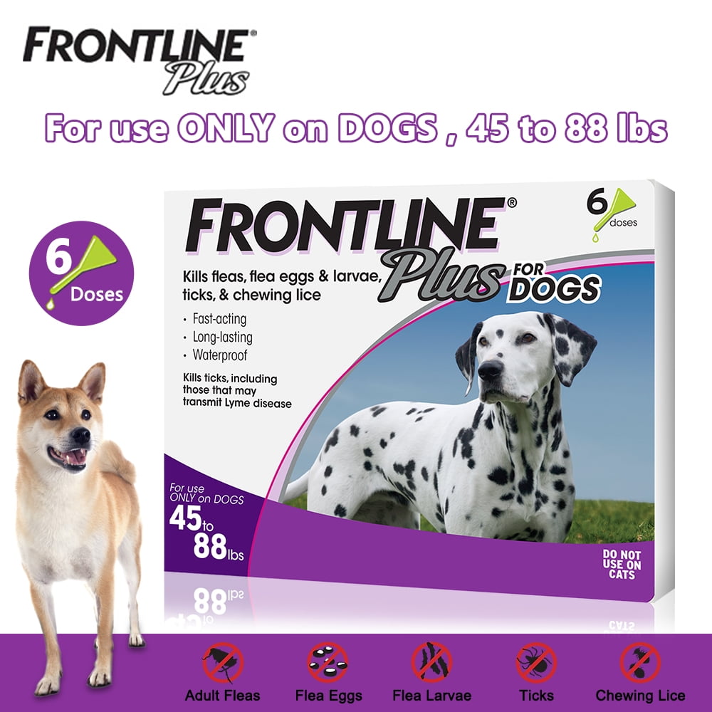 frontline tick treatment for dogs