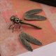 thumbnail image 5 of 3X Mini Estatuilla de Animal de Fundición de Libélula de Latón, Escultura de Metal de Estilo Retro, Decoración Artesanal de Escritorio para el Hogar, 5 of 6