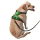 thumbnail image 2 of Balery Bamboo Arnés para Perros Grandes Antitirones, Arnés con Correa para Gato, Arnés Tipo Chaleco para Perros Pequeños-Medium, 2 of 6