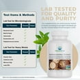 thumbnail image 4 of Nature's Lab Ashwagandha Extract - KSM 66 5% Withanolides - 120 Ct (60 Day Supply), 4 of 7