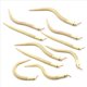 thumbnail image 5 of 20Pcs 12 pulgadas de arte de juguete de de modelo animal de serpiente de madera flexible de articulación de serpiente de torsión de madera incompleta, 5 of 5