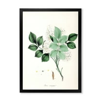Designart 'Ancient Blossoming Flower IV' Farmhouse Framed Art Print