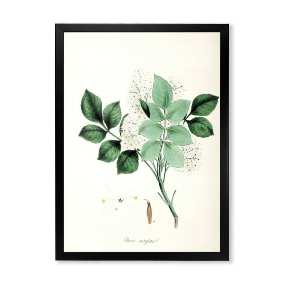 Designart 'Ancient Blossoming Flower IV' Farmhouse Framed Art Print