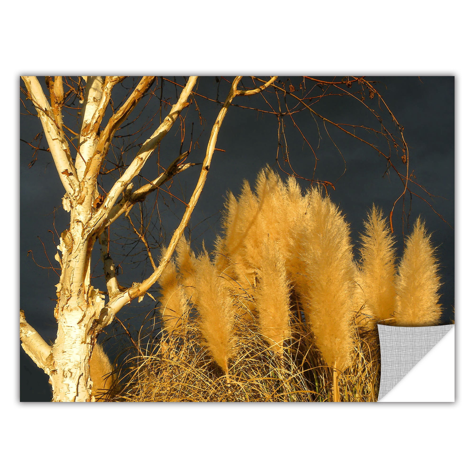 Dean Uhlinger "Autumn Storm Light" Removable Wall Art