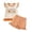 Orange, variant on Wonitaaizi Halloween Outfit Toddler Baby Girl Pumpkin Face Ruffle Sleeveless Shirt Tank Top Plaid Shorts Set 2PC (18-24 Months,Orange)