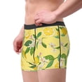 thumbnail image 4 of Balery Lemon Men's Boxer Briefs, Soft and Breathable Cotton Underwear with nylon Waistband-X-Large, 4 of 9