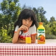 thumbnail image 6 of Tropicana Pure Premium 100% Orange Juice Original, Some Pulp, No Sugar Added, 46 fl oz, 6 of 16