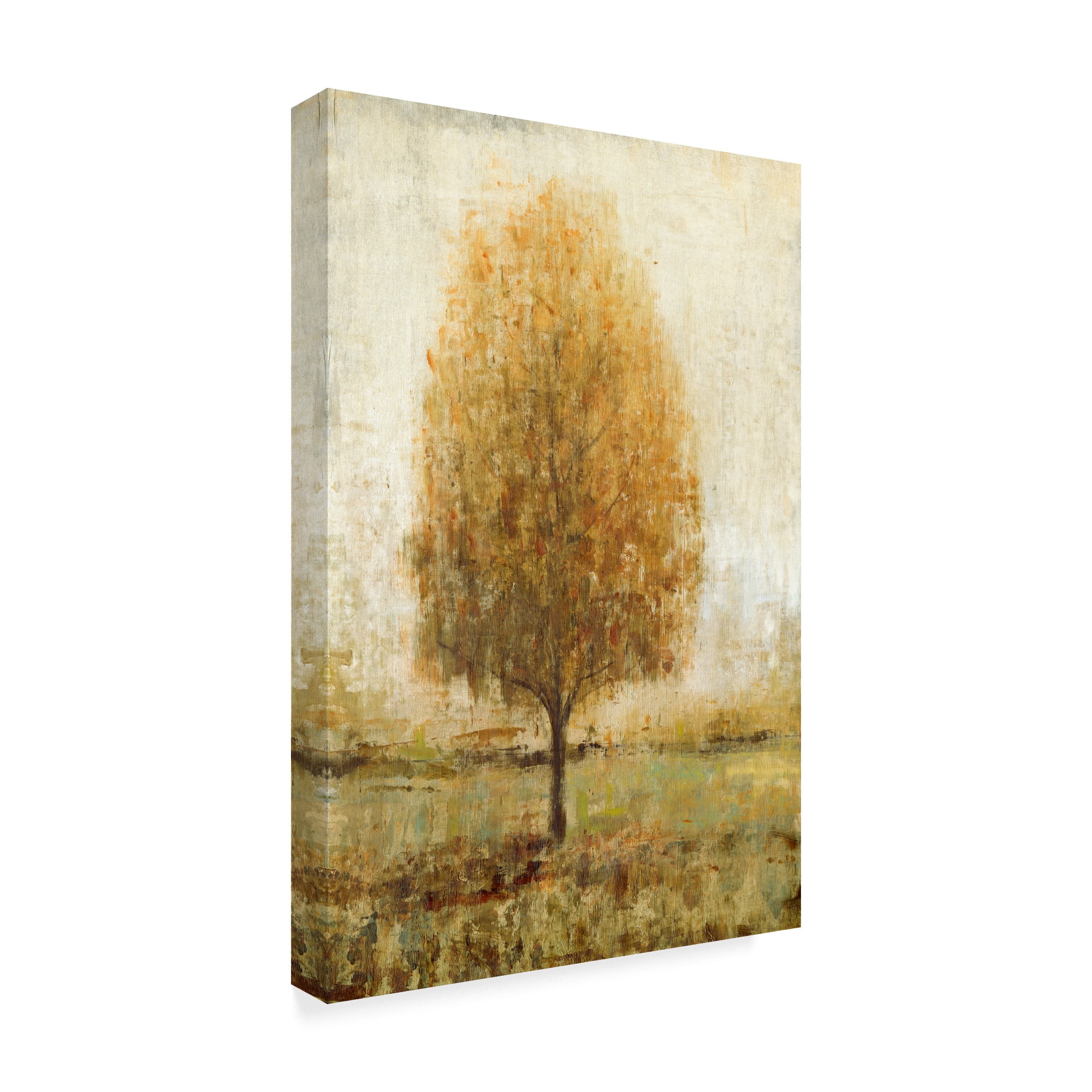 Trademark Fine Art 'Alone I' Canvas Art by Tim OToole
