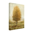 thumbnail image 2 of Trademark Fine Art 'Alone I' Canvas Art by Tim OToole, 2 of 4