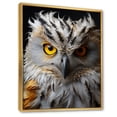 thumbnail image 2 of Designart "Monochrome National Grey Owl Animal" Animals Floater Framed Wall Art Living Room, 2 of 7
