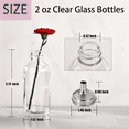 thumbnail image 2 of ACDANC 12 Pack 2 Oz Small Clear Glass Bottles with Lids&2 Funnels-60Ml Boston Round Sample Bottles for Potion,Juice,Ginger Shots,Oils,Whiskey,Wellness Shots,Mini Travel Bottles, 2 of 6
