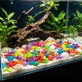 thumbnail image 6 of BiFandian 50PCS Luminous Aquarium Stones, Glow in The Dark Conch Starfish Pebbles, Glowing Rocks Fish Tank Decor for Pool Aquarium Pots Pond Walkway Driveway Garden Decoration Indoor Outdoor, 6 of 6