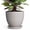 Grey, variant on Wliror 6 Inch Grey Ceramic Plant Pot - Small Round Planter with Drainage for Succulent Cactus Orchid, Modern Flower Pot for Indoor Outdoor Home Decor