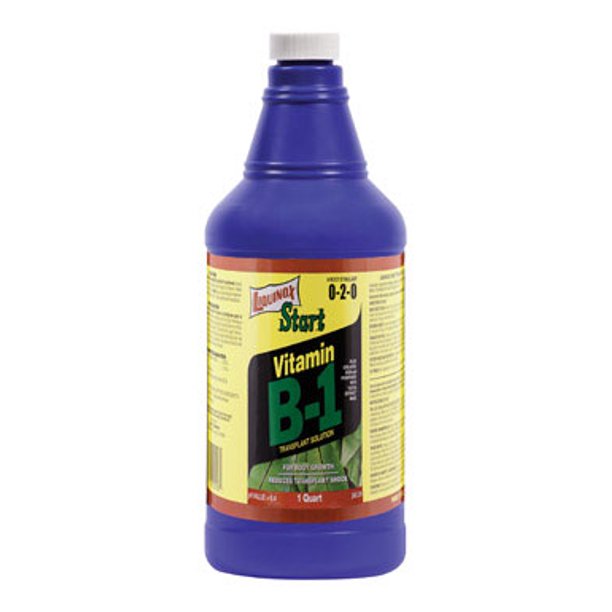 Liquinox Vitamin B1 Start 1020, Quart