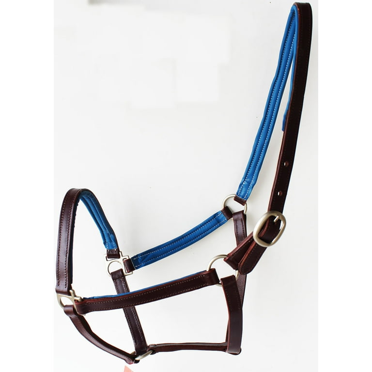 Show Halters - Western Show Halters 