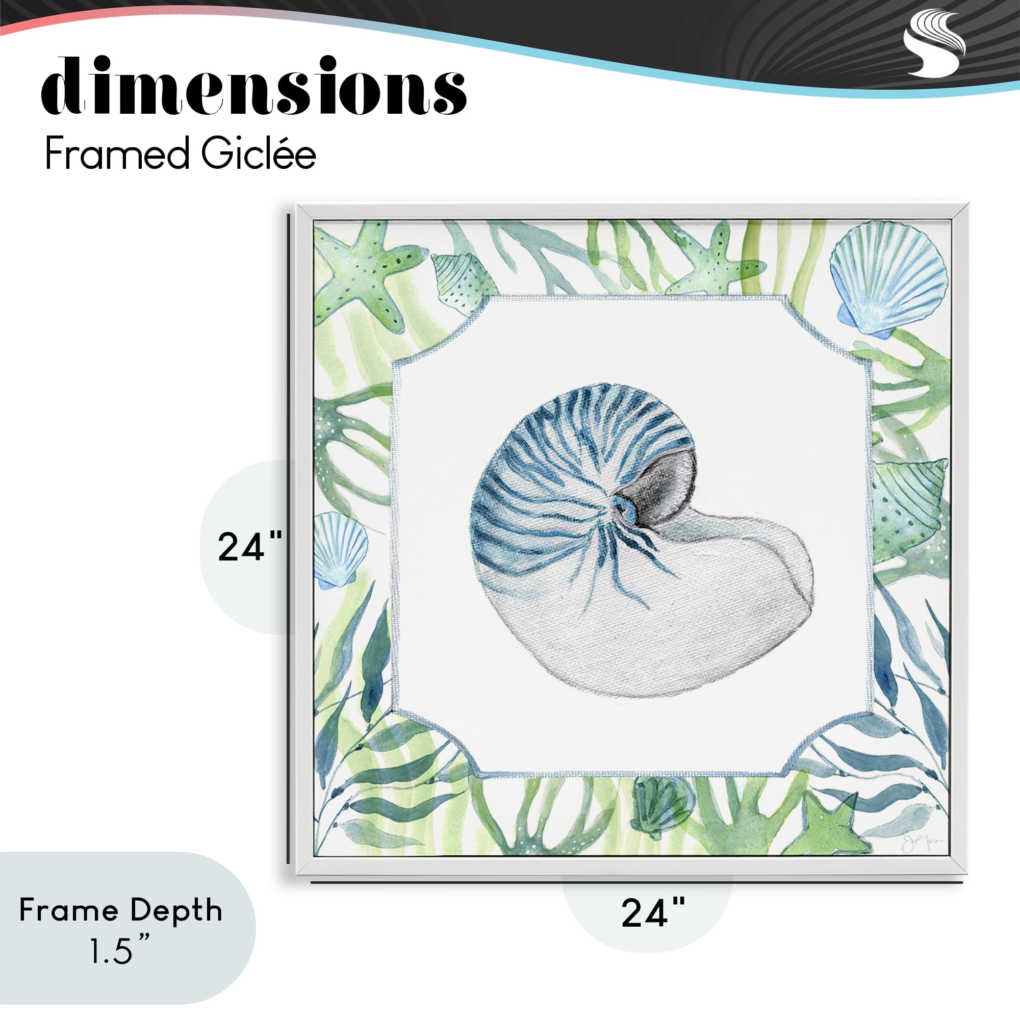 Stupell Industries Seaweed & Seashells Aquatic White Framed Giclee Art, design by Janet Tava